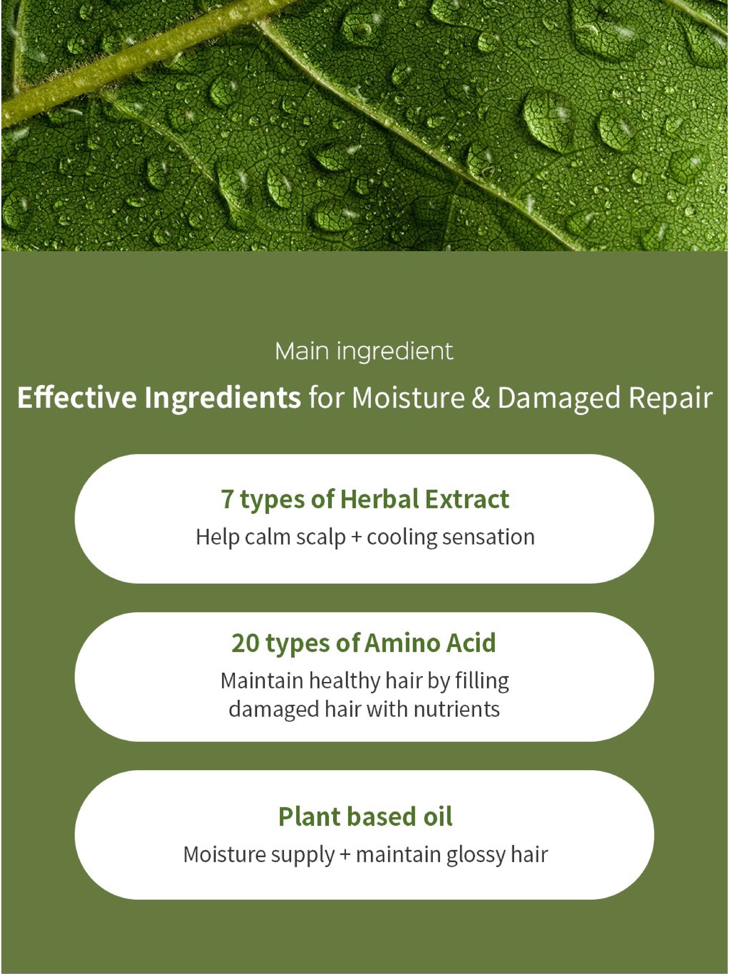 Lador Herbalism Treatment 360ml MaysonBeauty