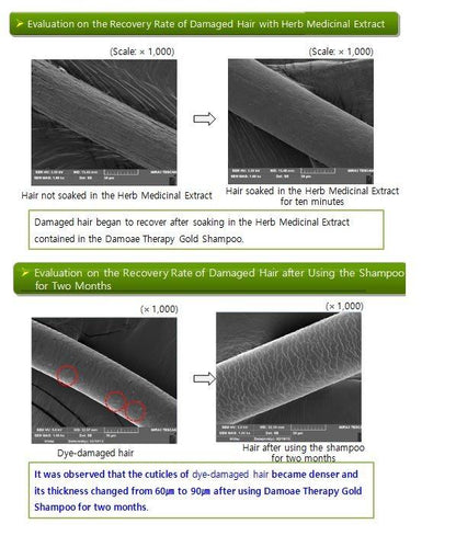 DAMOAE Therapy Hair Loss Tonic 100ml MaysonBeauty